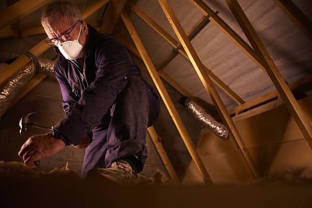 Best Types of Insulation in East Bangor, PA